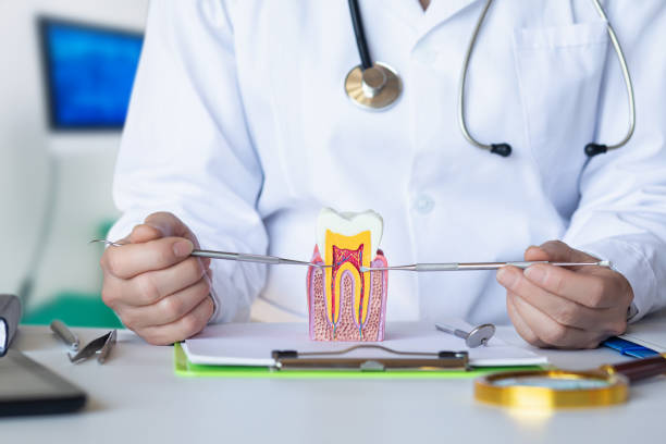 Best Emergency Treatment for Dental Infections or Abscesses in Lufkin, TX